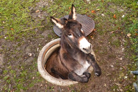 Τρεις ιστορίες για αυτές τις δύσκολες –επιχειρηματικά- ημέρες