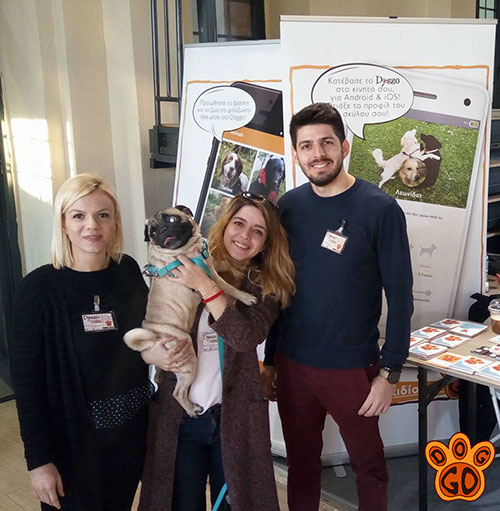 Συνέντευξη στο Startup.gr: Αναστασία Παναγιωτοπούλου, Doggo!