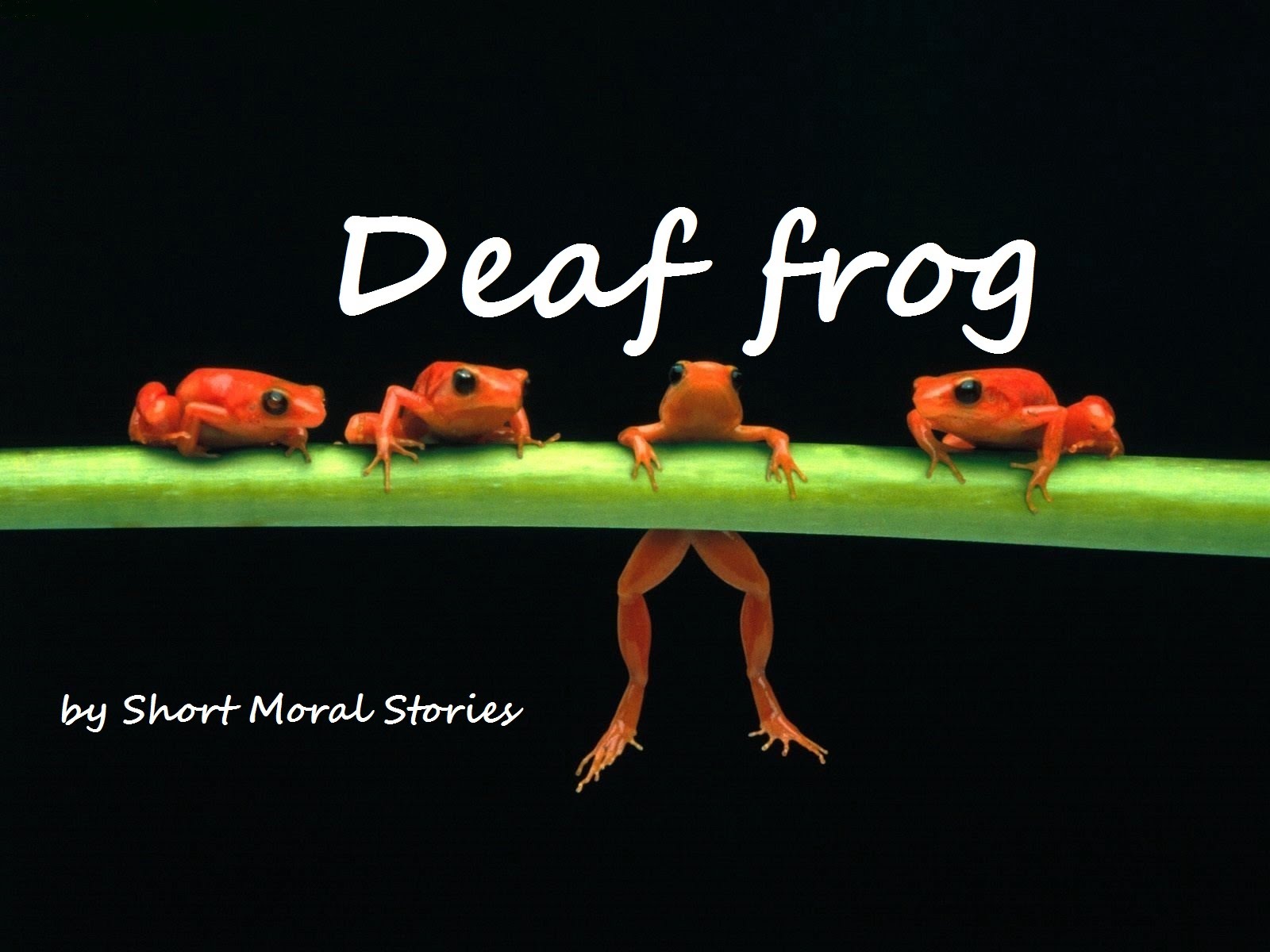 Τρεις ιστορίες για αυτές τις δύσκολες –επιχειρηματικά- ημέρες